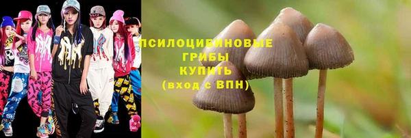марки lsd Белокуриха