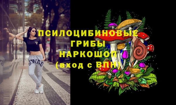 марки lsd Белокуриха