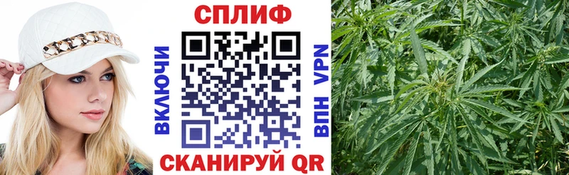 Каннабис Bruce Banner Куйбышев